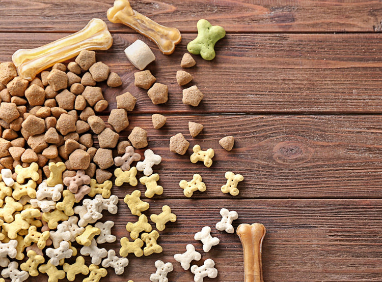 Dog Treats & Food