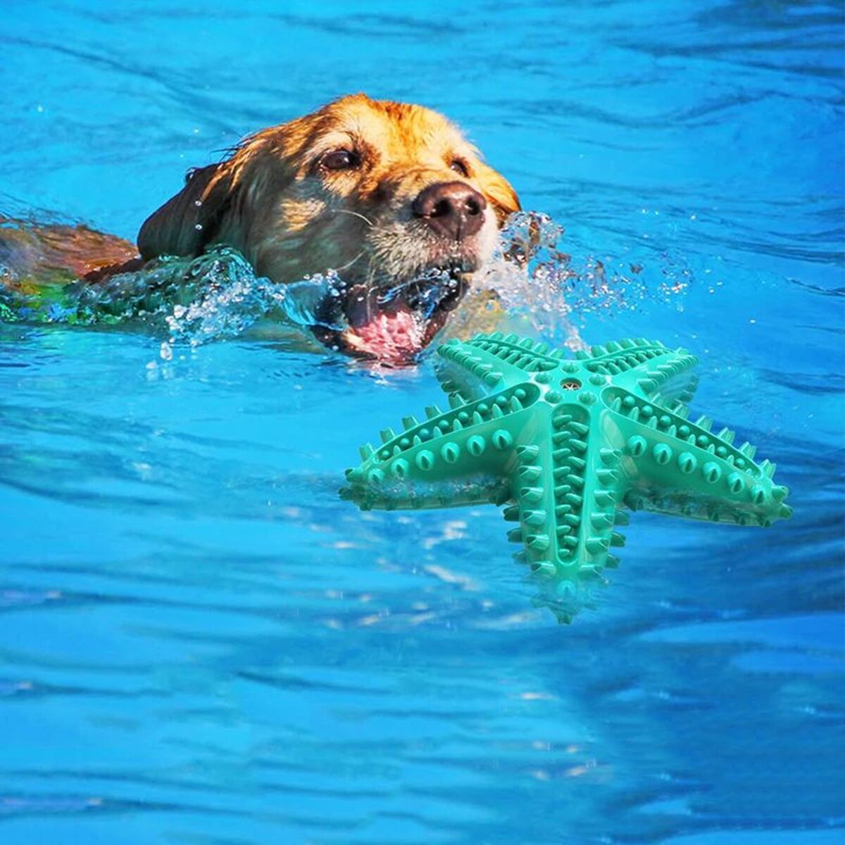 Teeth Cleaning Chew Toy for Medium to Large Dogs