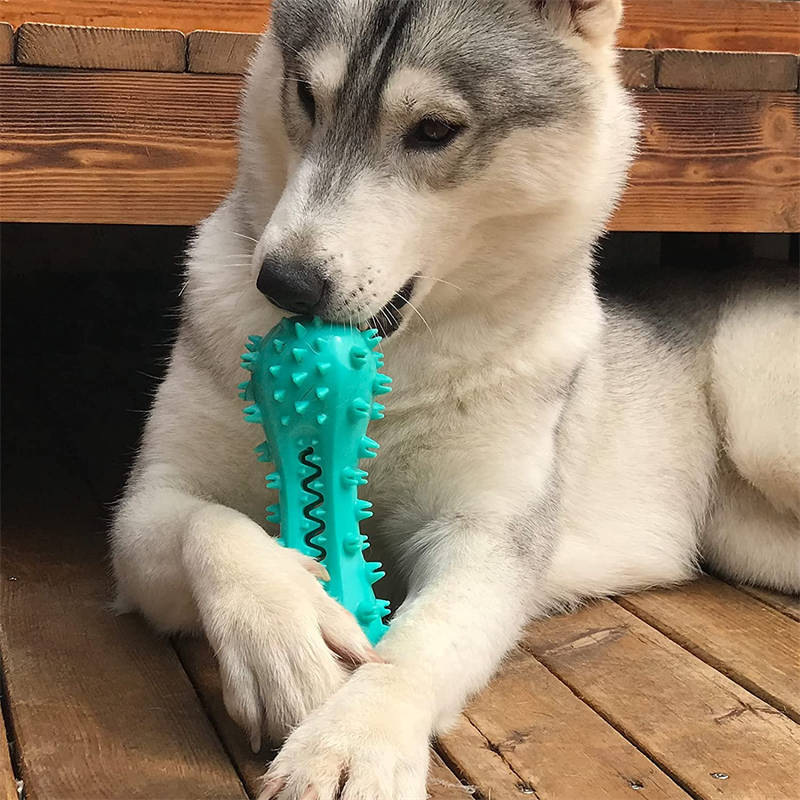 Dog Chew Toy For Aggressive Chewing Rubber Molar Stick