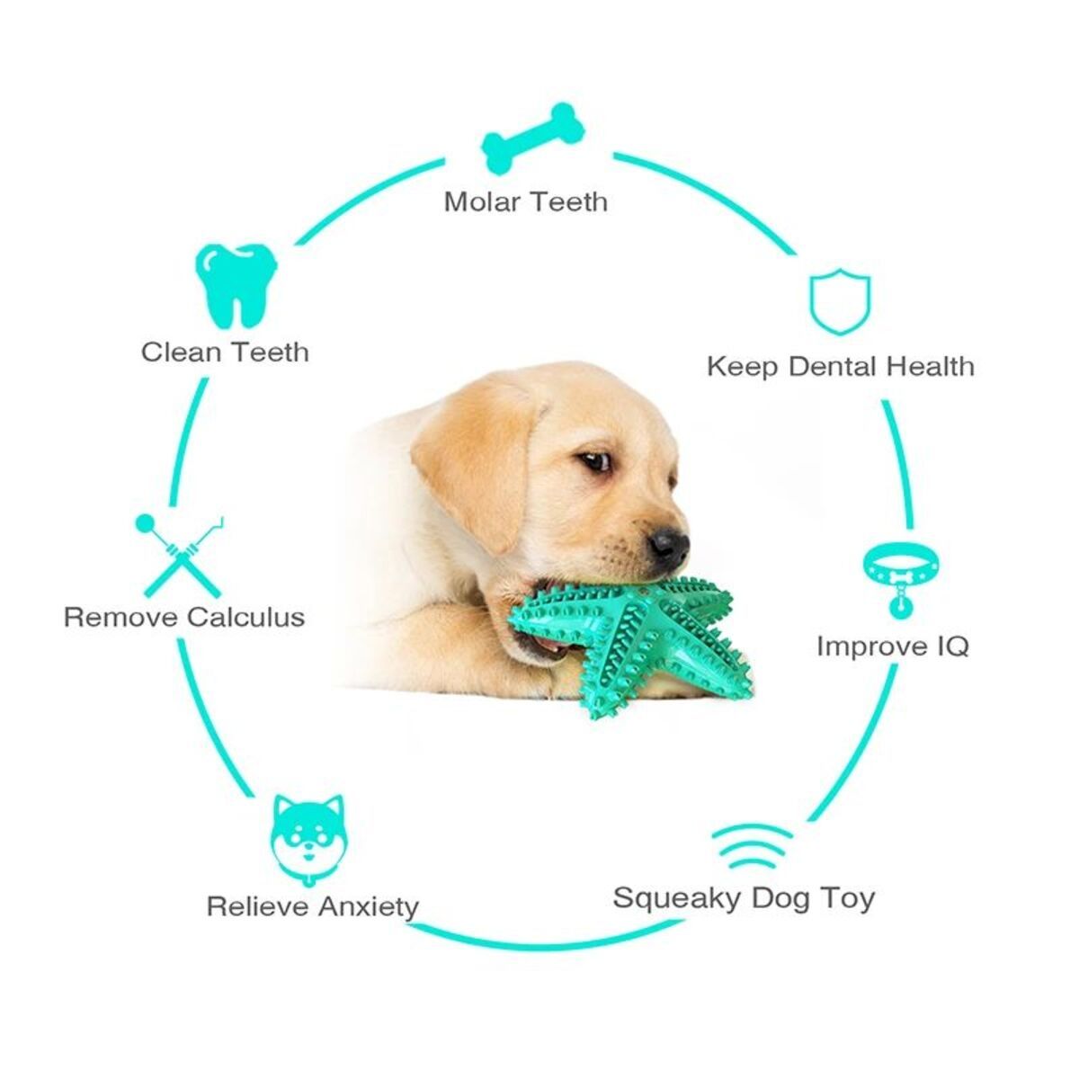 Teeth Cleaning Chew Toy for Medium to Large Dogs