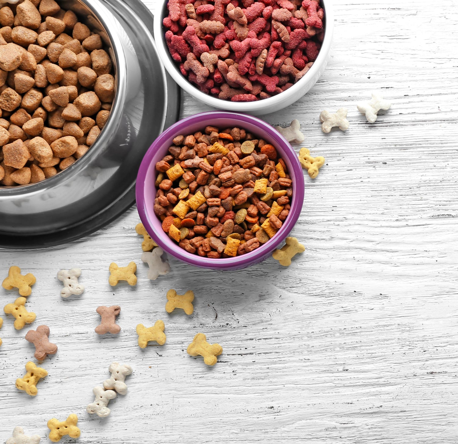 Dog Food & Water Bowls