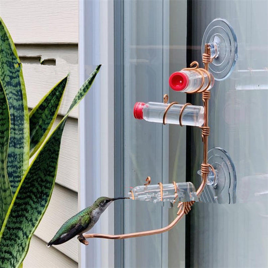 Hummingbird Feeder Drinker Suction Bird Feeders