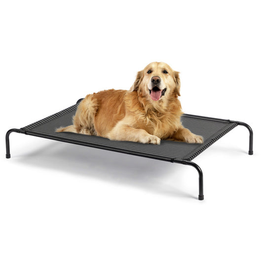 Elevated Pet Bed